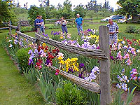 Friends Gardens - JAN and BERNIE