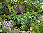 Reynolds Garden