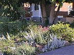 Spragge Garden